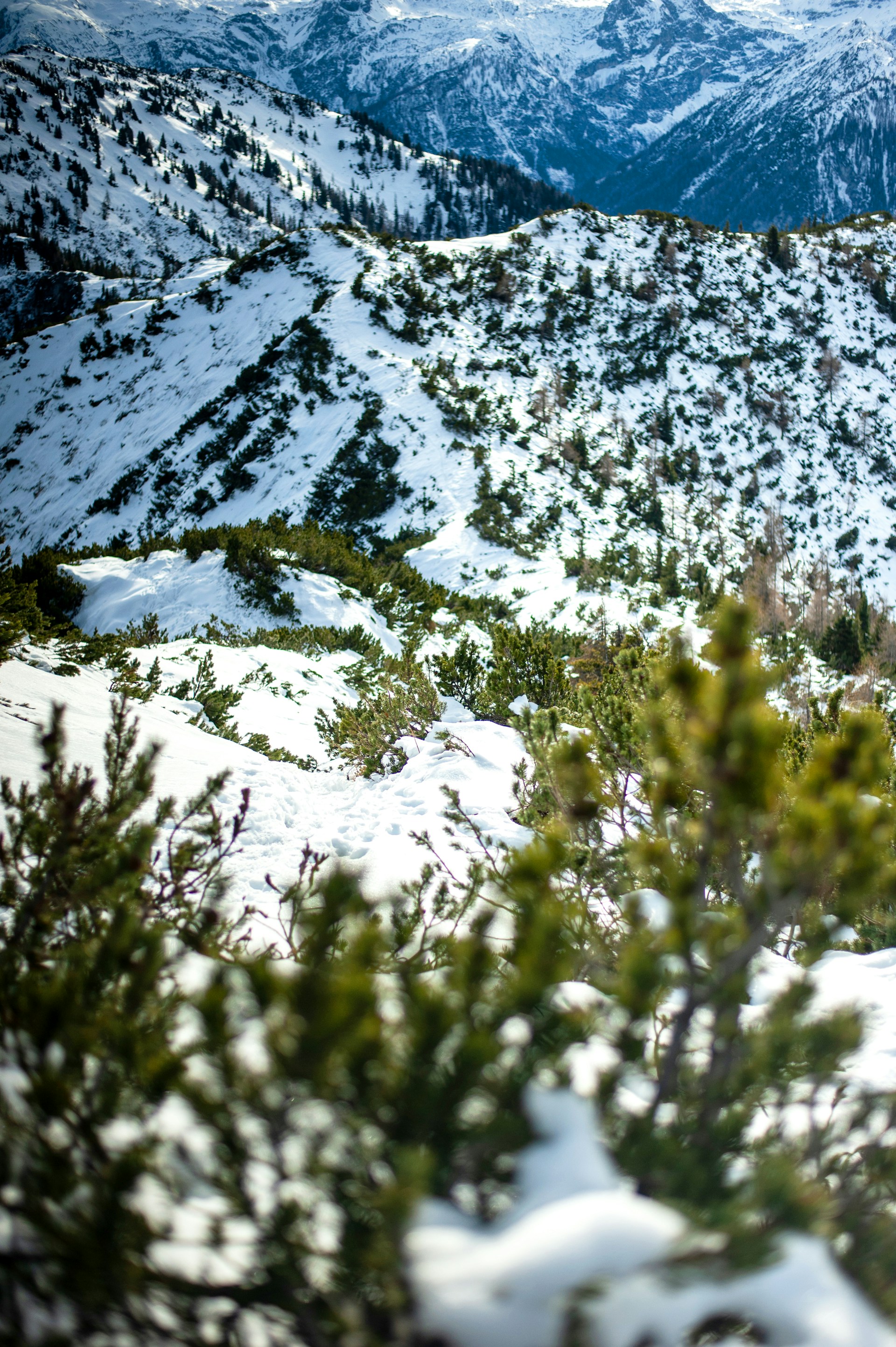 A picturesque view of the French mountains, with the girl skiing in the foreground, capturing the beauty of winter.
