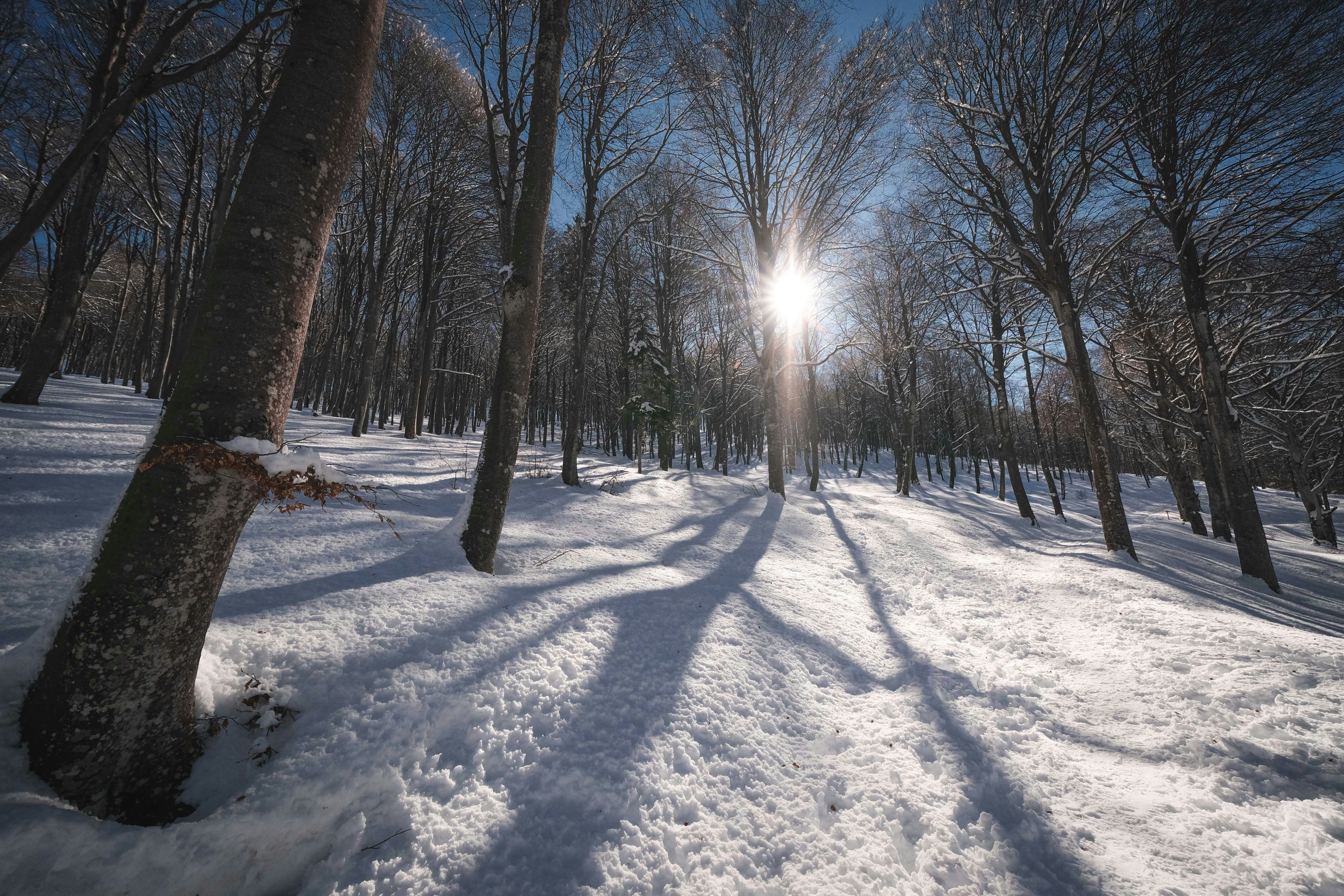 Photo by francesco_ungaro