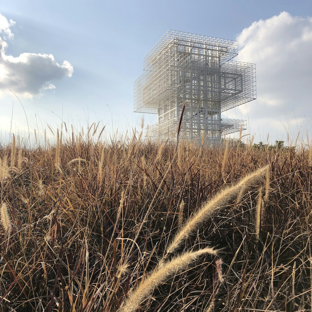 brown grass field near gray building under blue sky during daytime