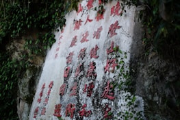 Red Chinese characters are carved into a stone surface, surrounded by green foliage. The surface shows signs of weathering and age, and the text is deeply etched into the stone.