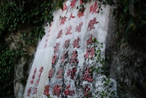 Red Chinese characters are carved into a stone surface, surrounded by green foliage. The surface shows signs of weathering and age, and the text is deeply etched into the stone.