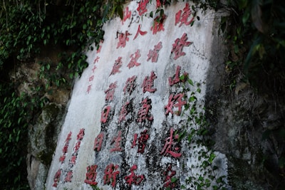 Red Chinese characters are carved into a stone surface, surrounded by green foliage. The surface shows signs of weathering and age, and the text is deeply etched into the stone.