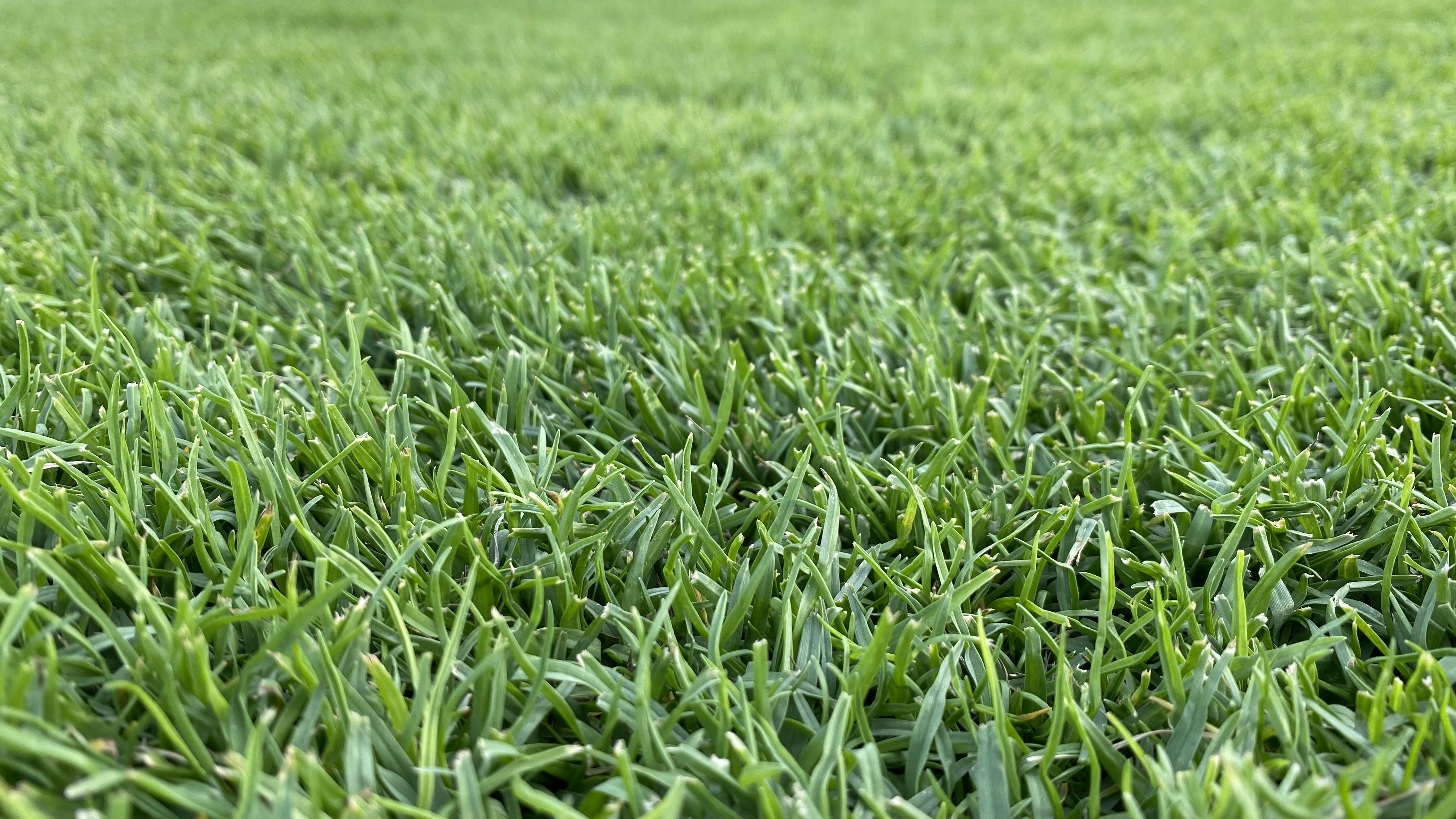 Photo by alexkingltd