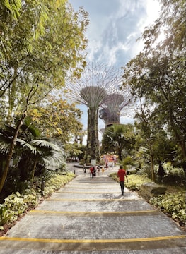 A virtual avatar walking through a landscaped society with homes and amenities.