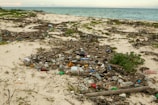 A vibrant beach littered with plastic waste.