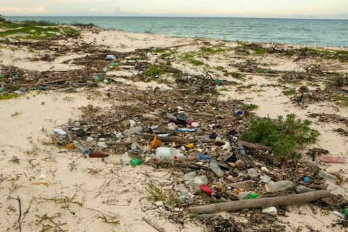 A beach landscape littered with various types of trash including plastic bottles, bags, and other debris. The sand is interspersed with driftwood and patches of green vegetation. In the background, the sea stretches to the horizon under a cloudy sky.