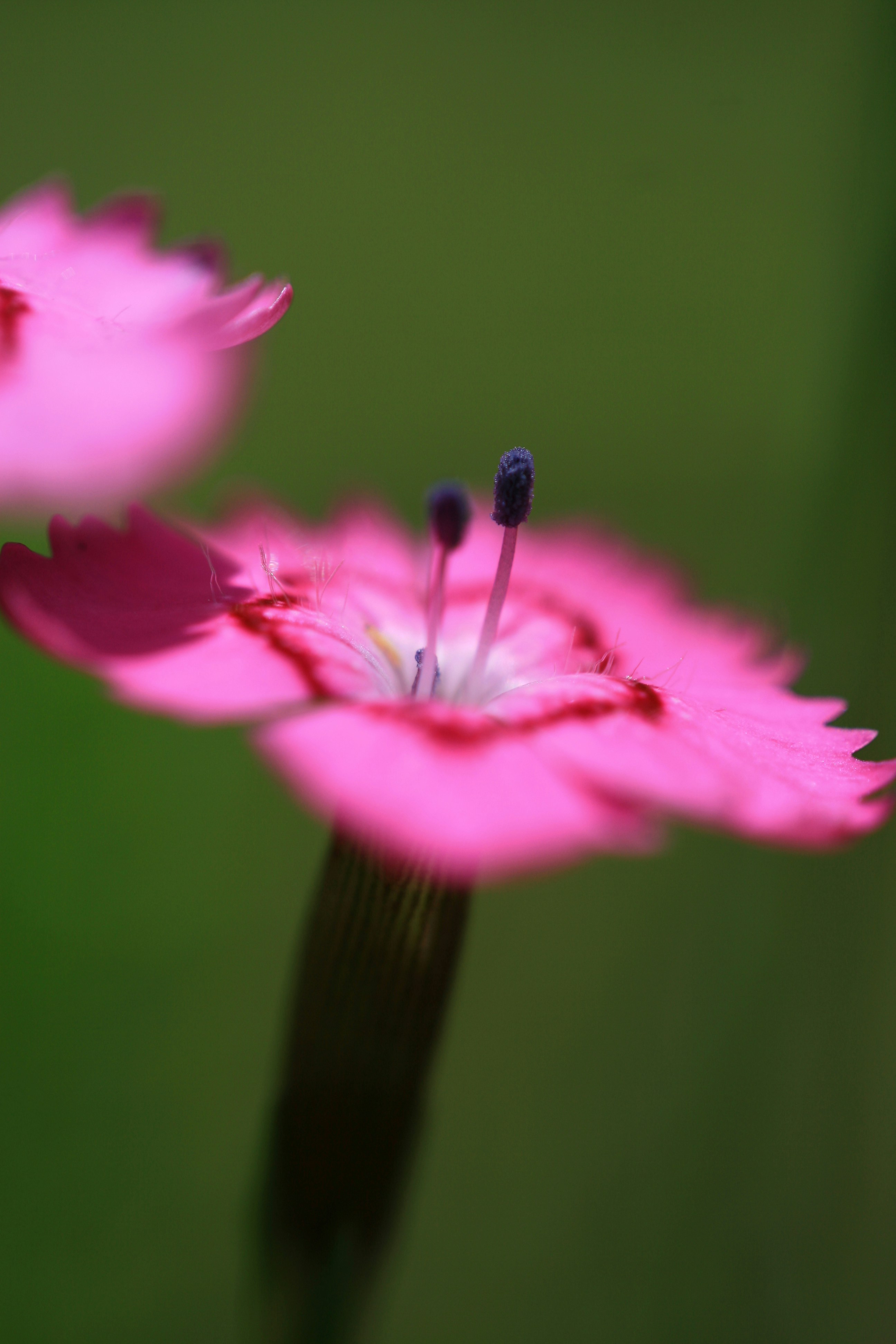 Photo by joa70