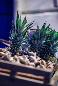 A wooden crate filled with fresh pineapples and ginger roots, illuminated by soft lighting that accentuates the rich green of the pineapple leaves and the earthy tones of the ginger. The background is slightly blurred, emphasizing the produce.