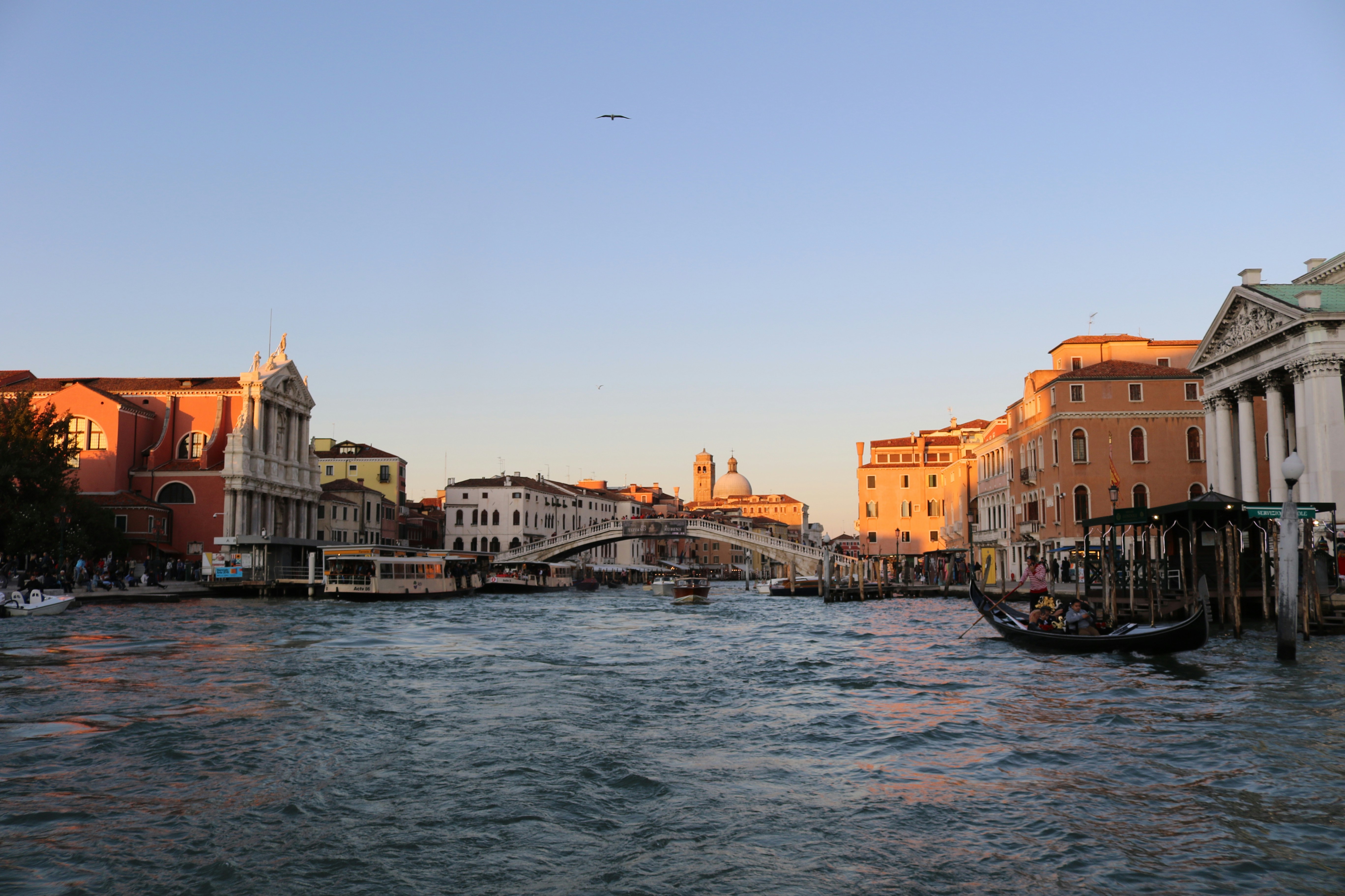 Photo by catt_titude