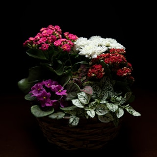 A vibrant bouquet of mixed seasonal flowers arranged in a rustic wicker basket.