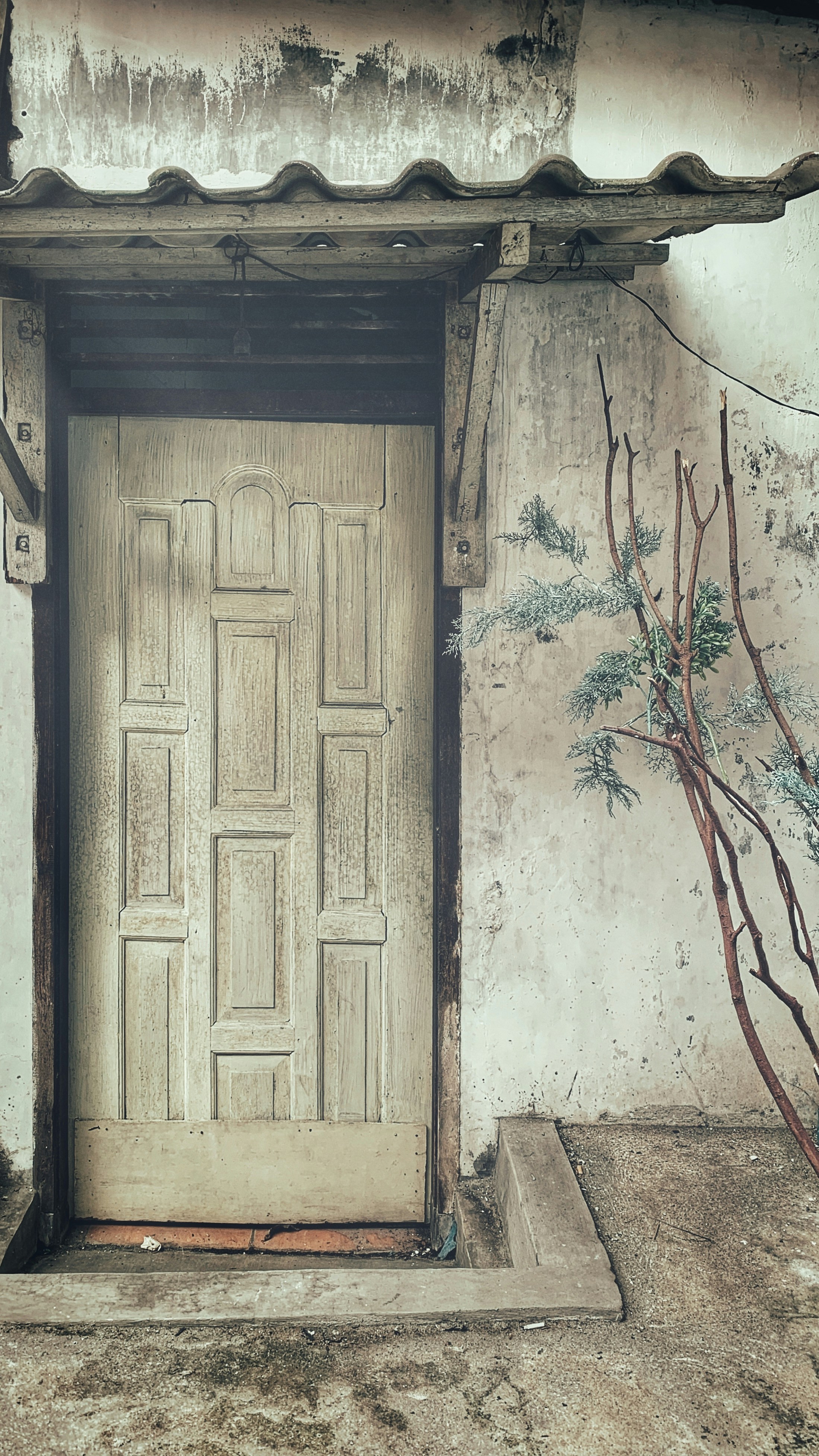 Photo by monter_great8