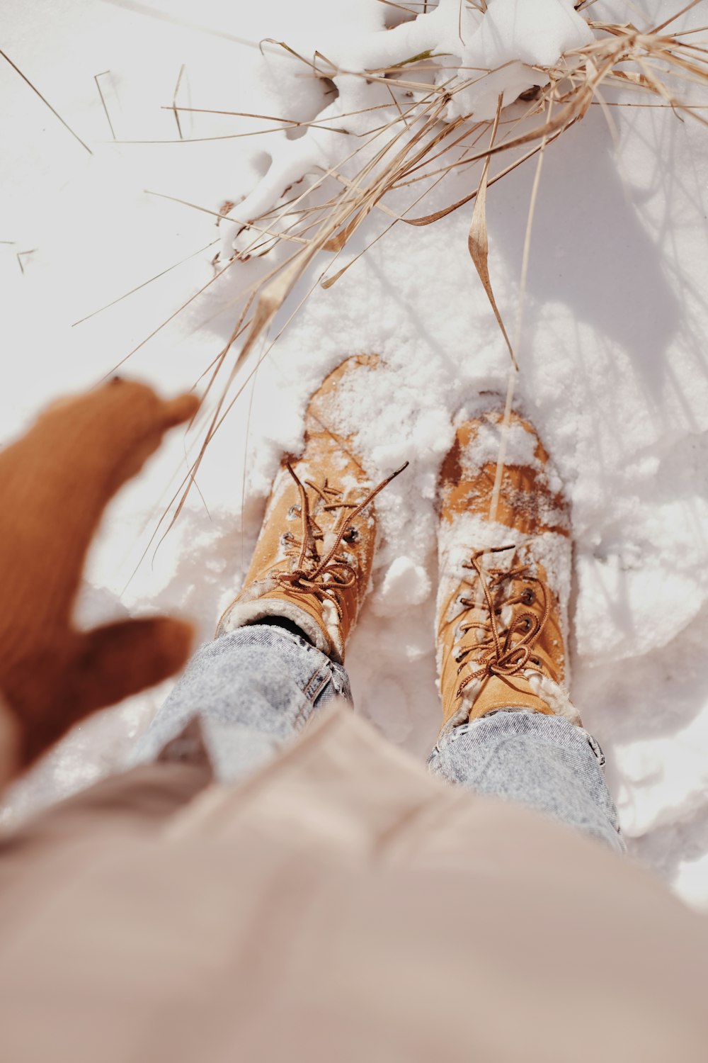 person in brown and white shoes