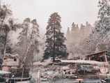 A serene outdoor setting in a mountainous forest area with tall pine trees. The scene includes a rustic building and various outdoor structures, possibly part of a campsite or retreat. The atmosphere appears misty or foggy, adding to the sense of tranquility.