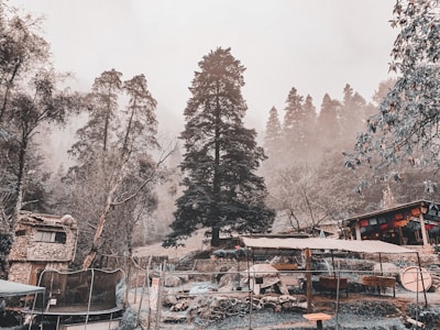 A serene outdoor setting in a mountainous forest area with tall pine trees. The scene includes a rustic building and various outdoor structures, possibly part of a campsite or retreat. The atmosphere appears misty or foggy, adding to the sense of tranquility.