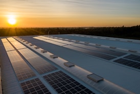 black and white solar panels