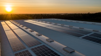 black and white solar panels