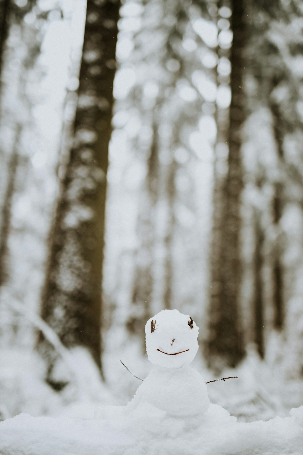 snow covered snowman in the woods