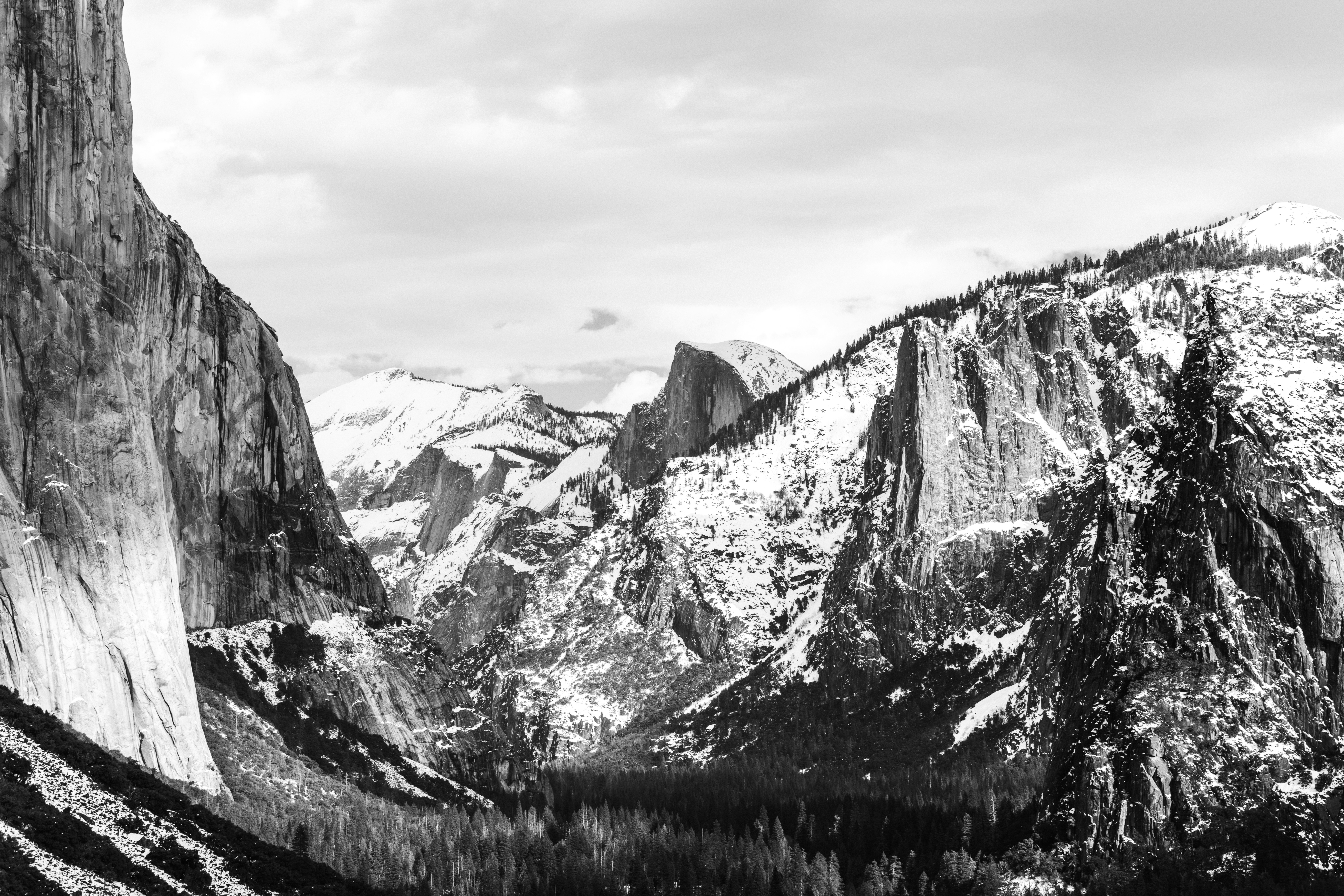 Photo by nate_dumlao