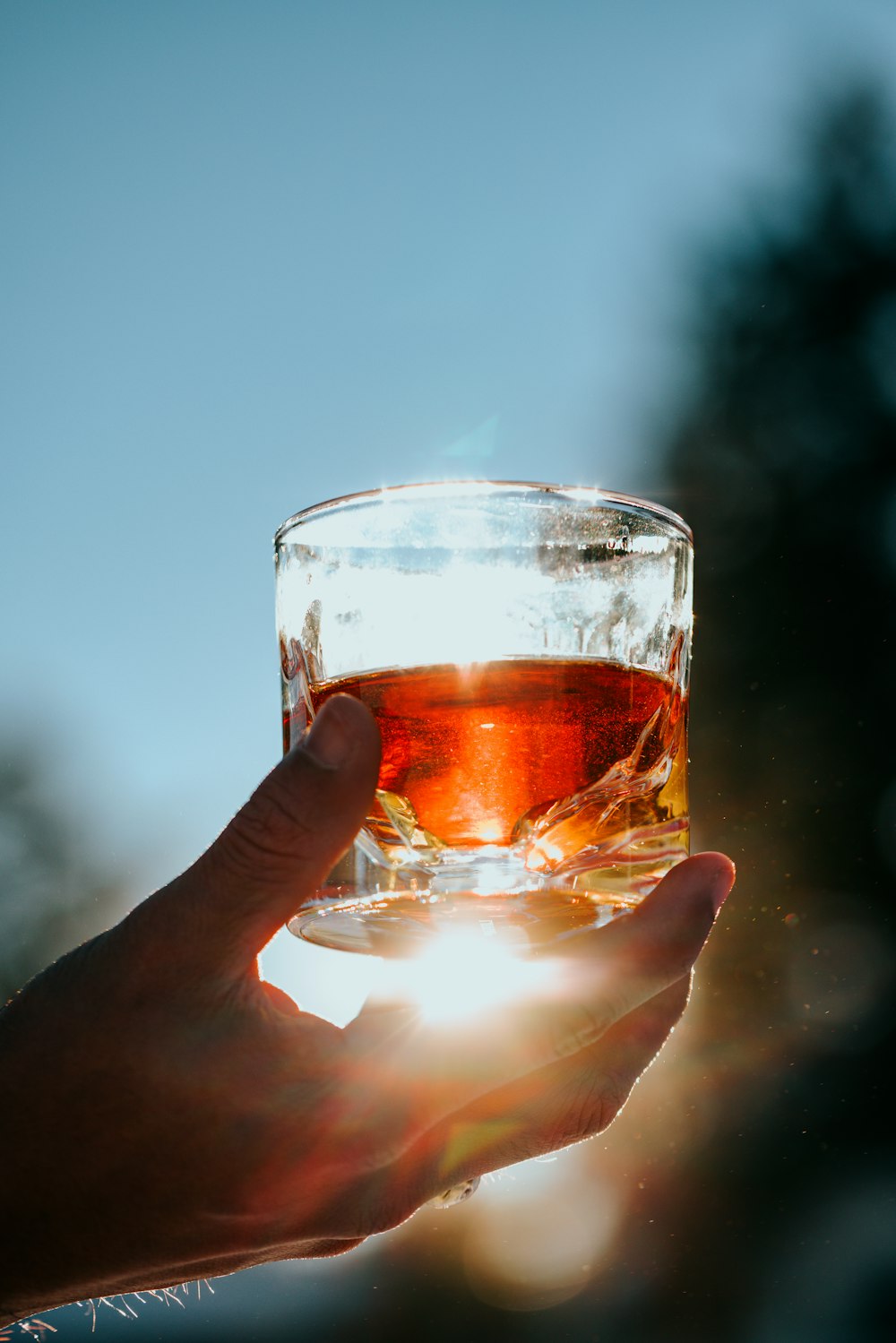 person holding clear drinking glass with brown liquid