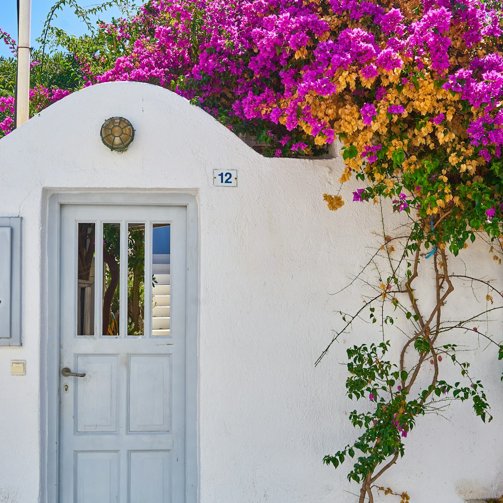 white wooden door with green and pink plants