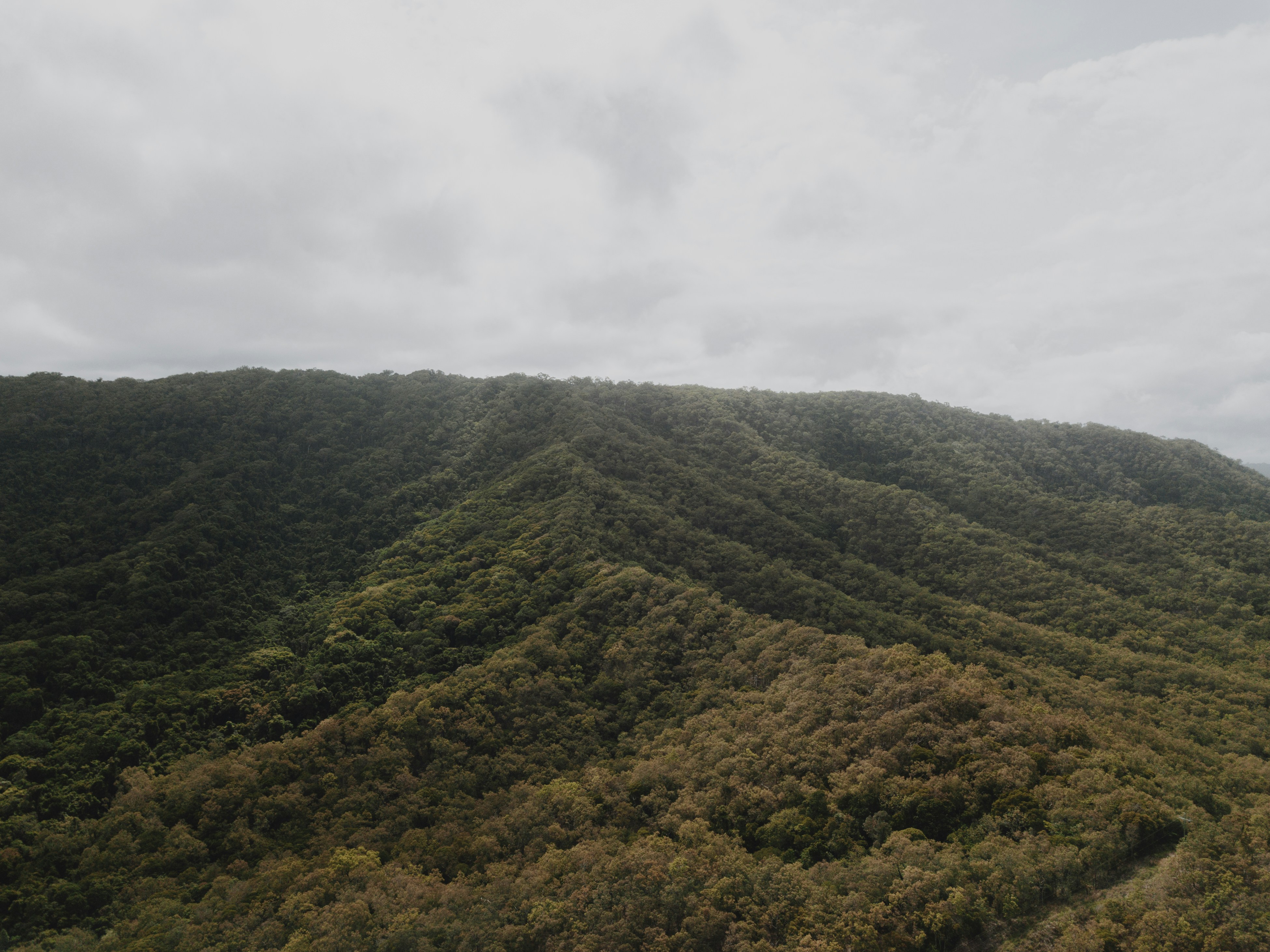 Photo by i_am_simoesse