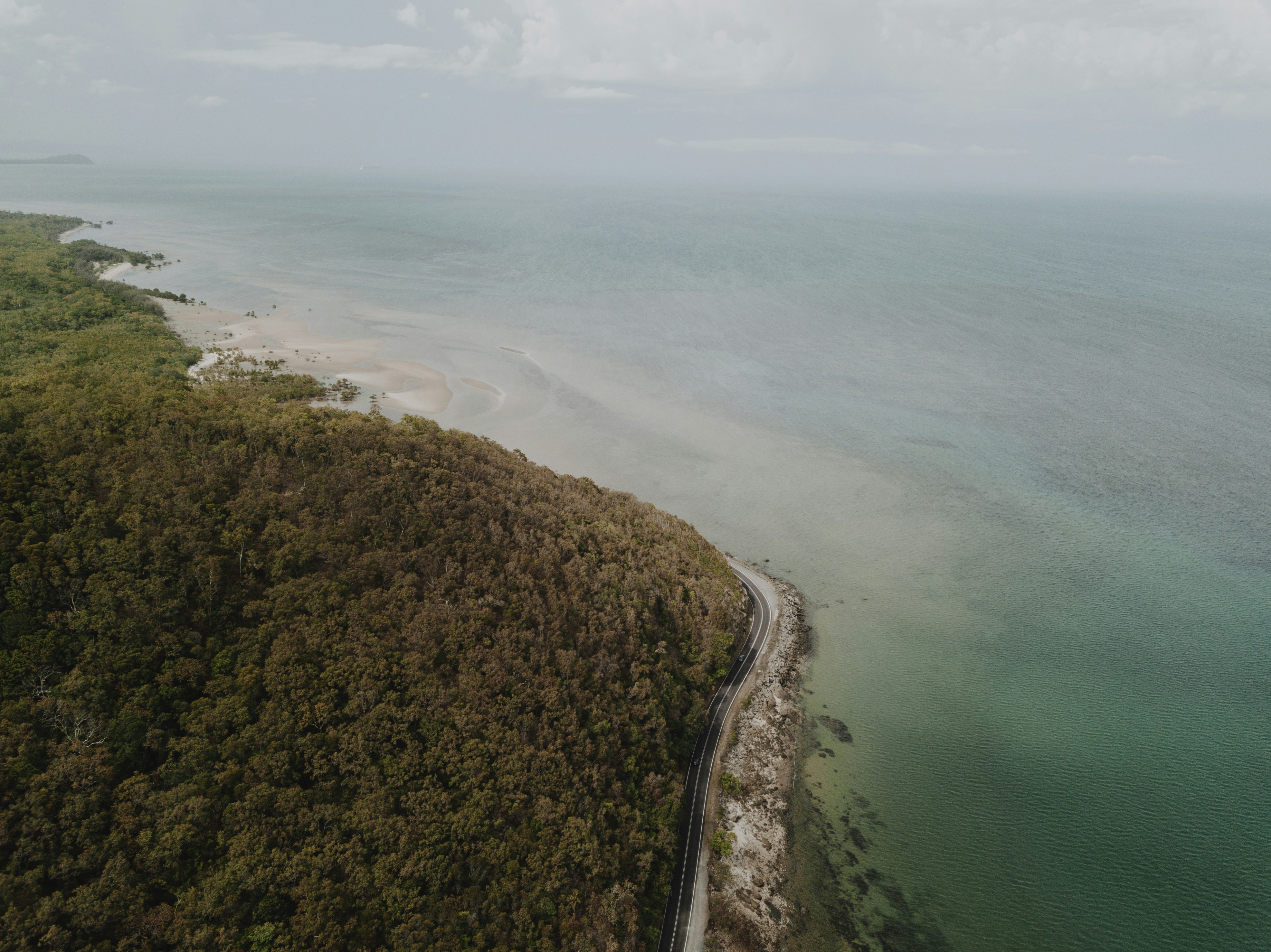 green trees near body of water during daytime