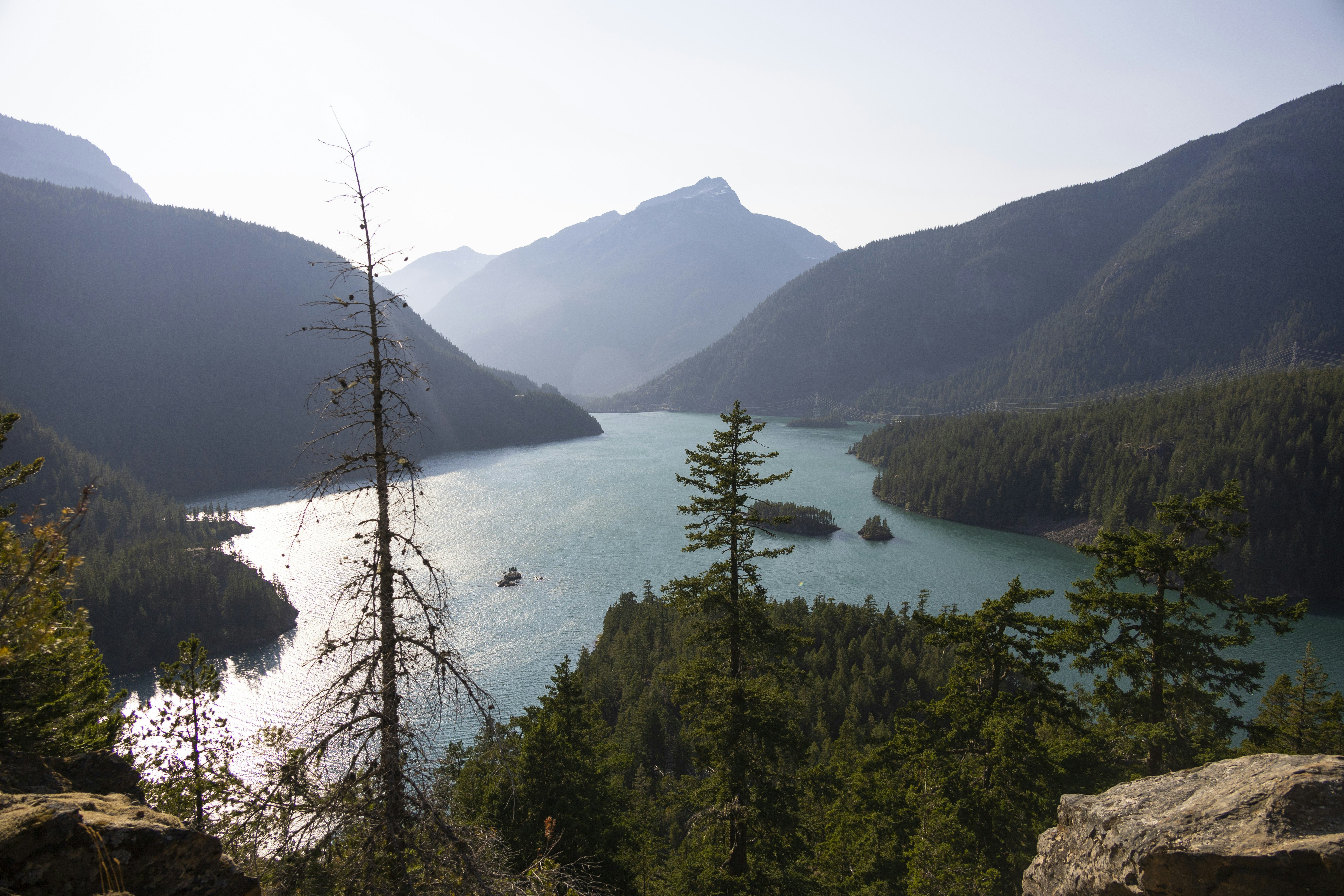 Photo by josi_ribeiro