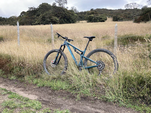 A mountain bike resting against a wooden fence beside a dusty, unpaved rural path lined with wildflowers.