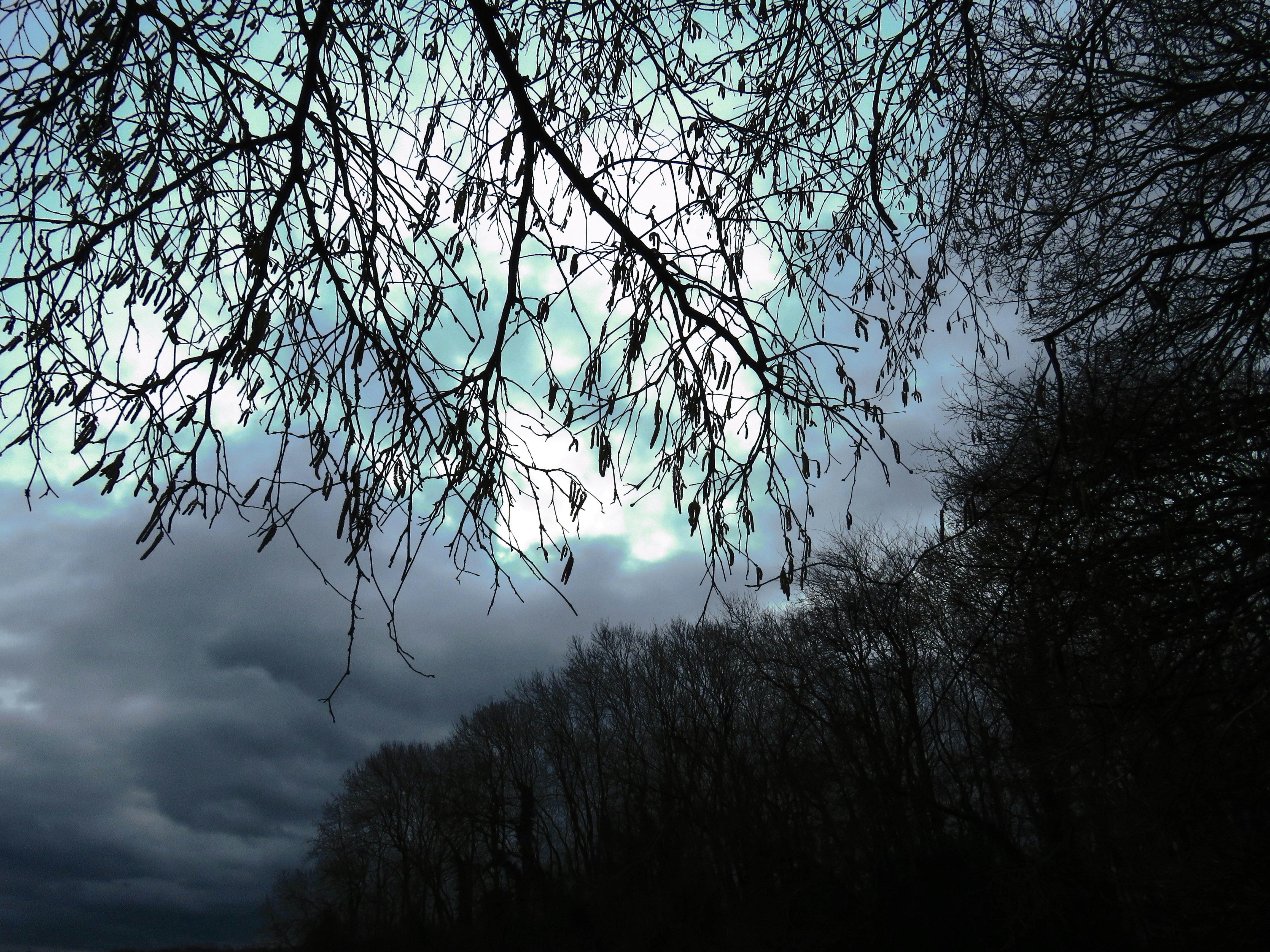 Photo by chris23