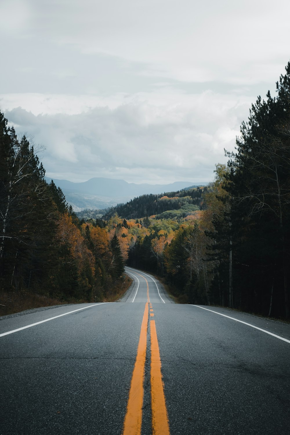 gray concrete road between green trees under white clouds during daytime