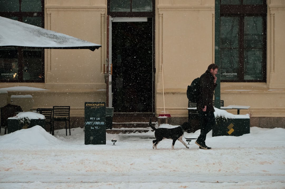 man in black jacket standing beside black dog on snow covered ground during daytime