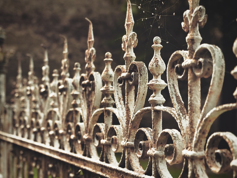 white metal fence with water droplets