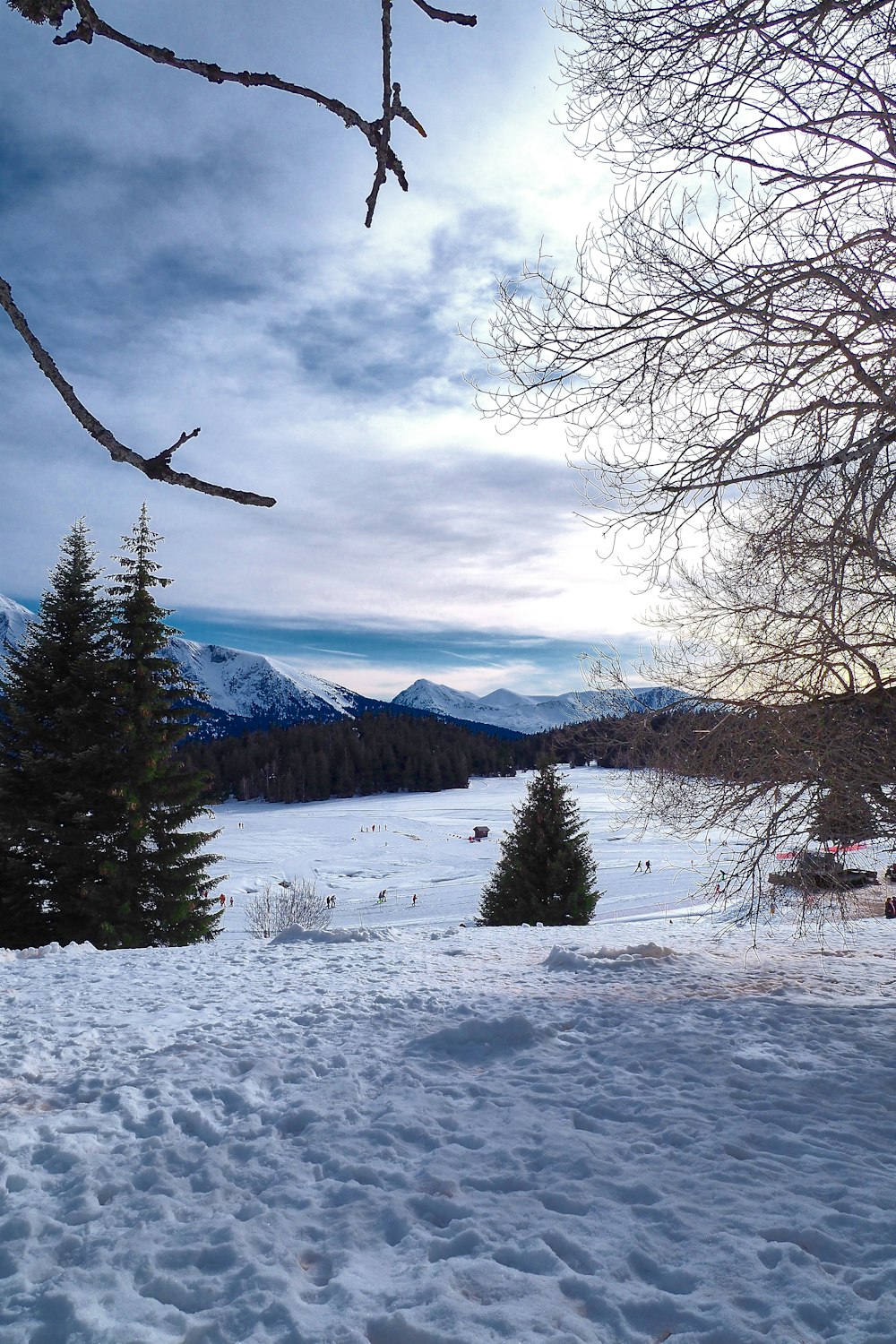 snow covered field with trees and mountains in the distance