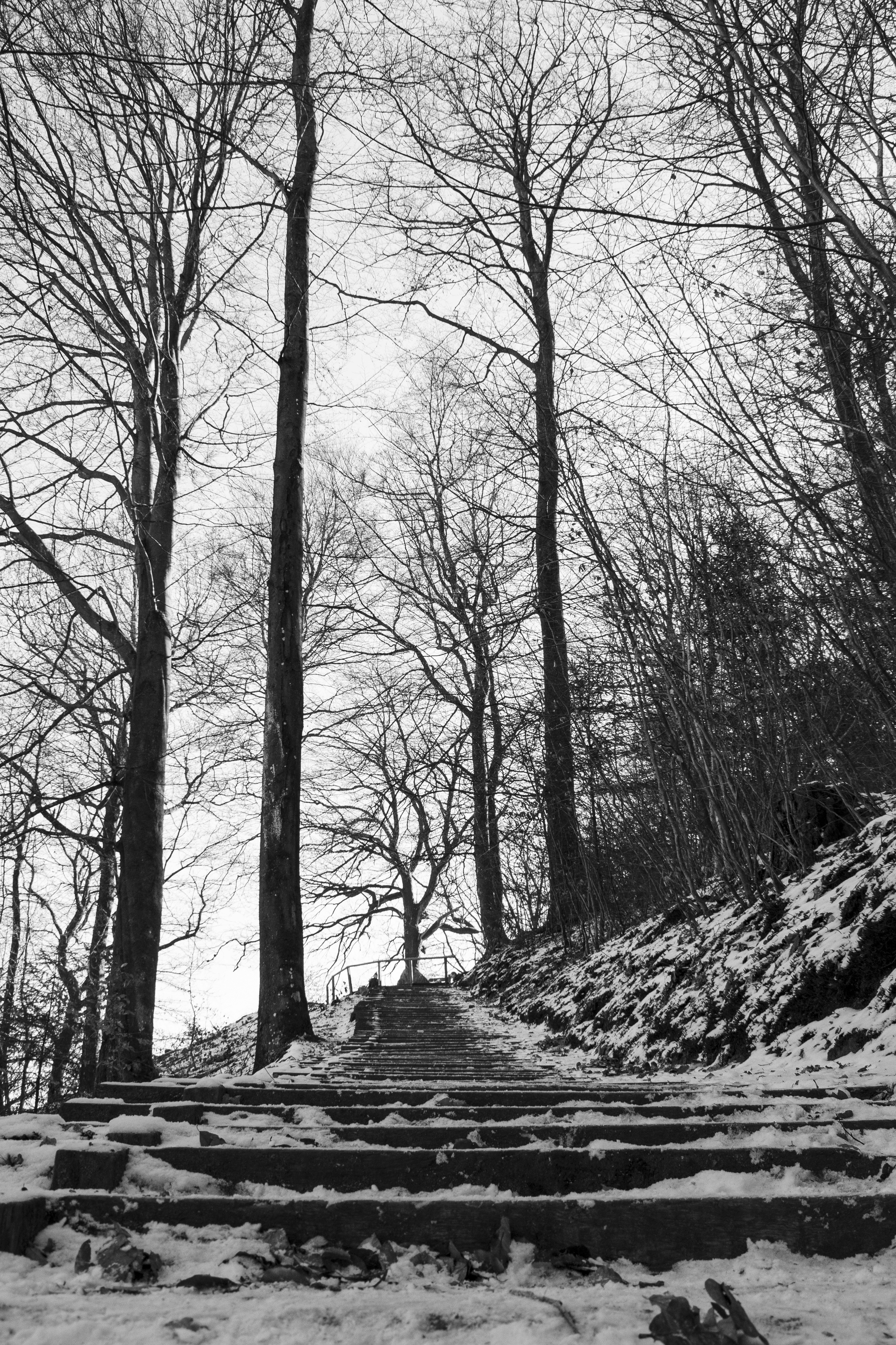 Photo by zuzi_ruttkay