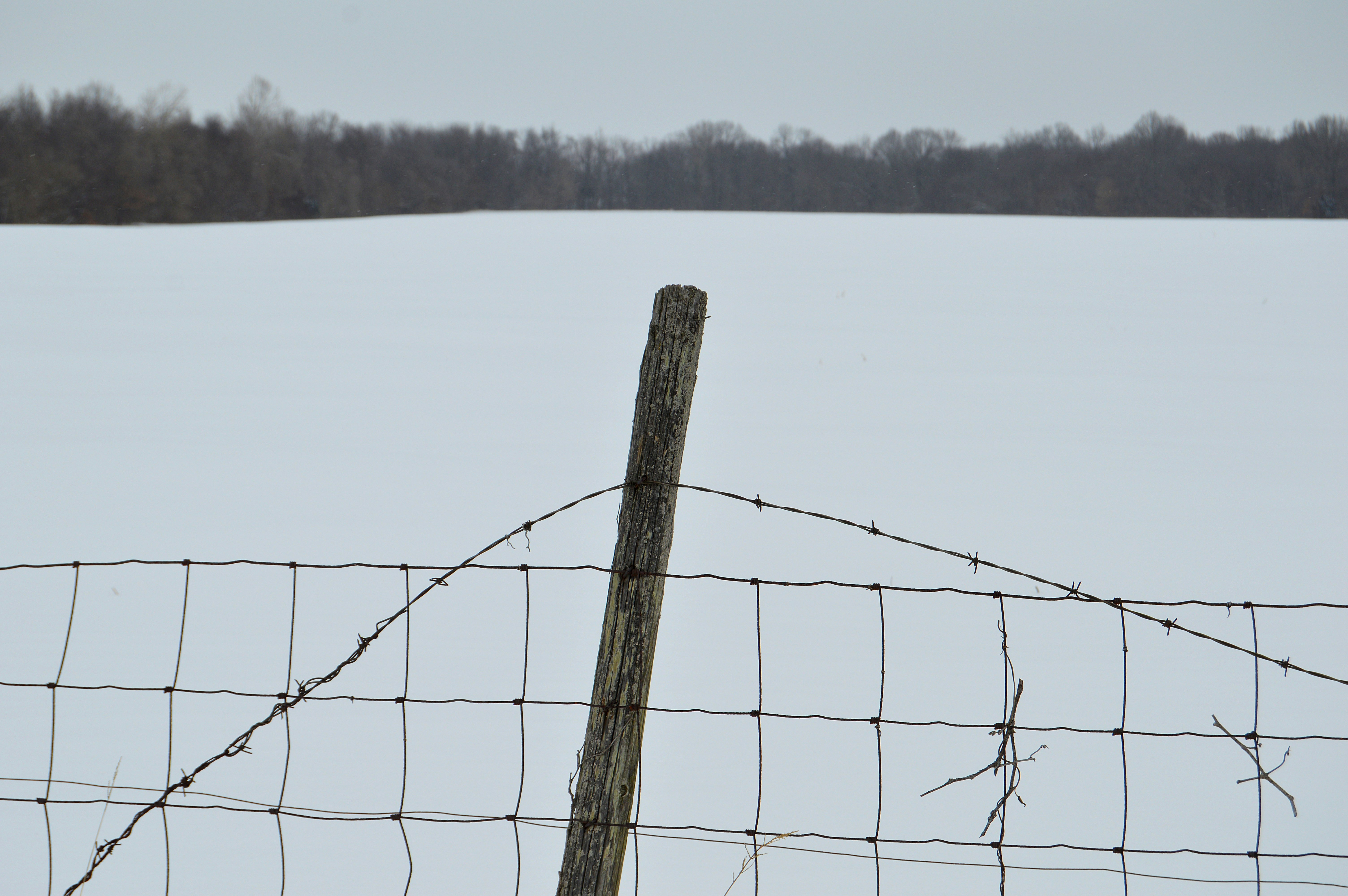 brown wooden post near body of water during daytime