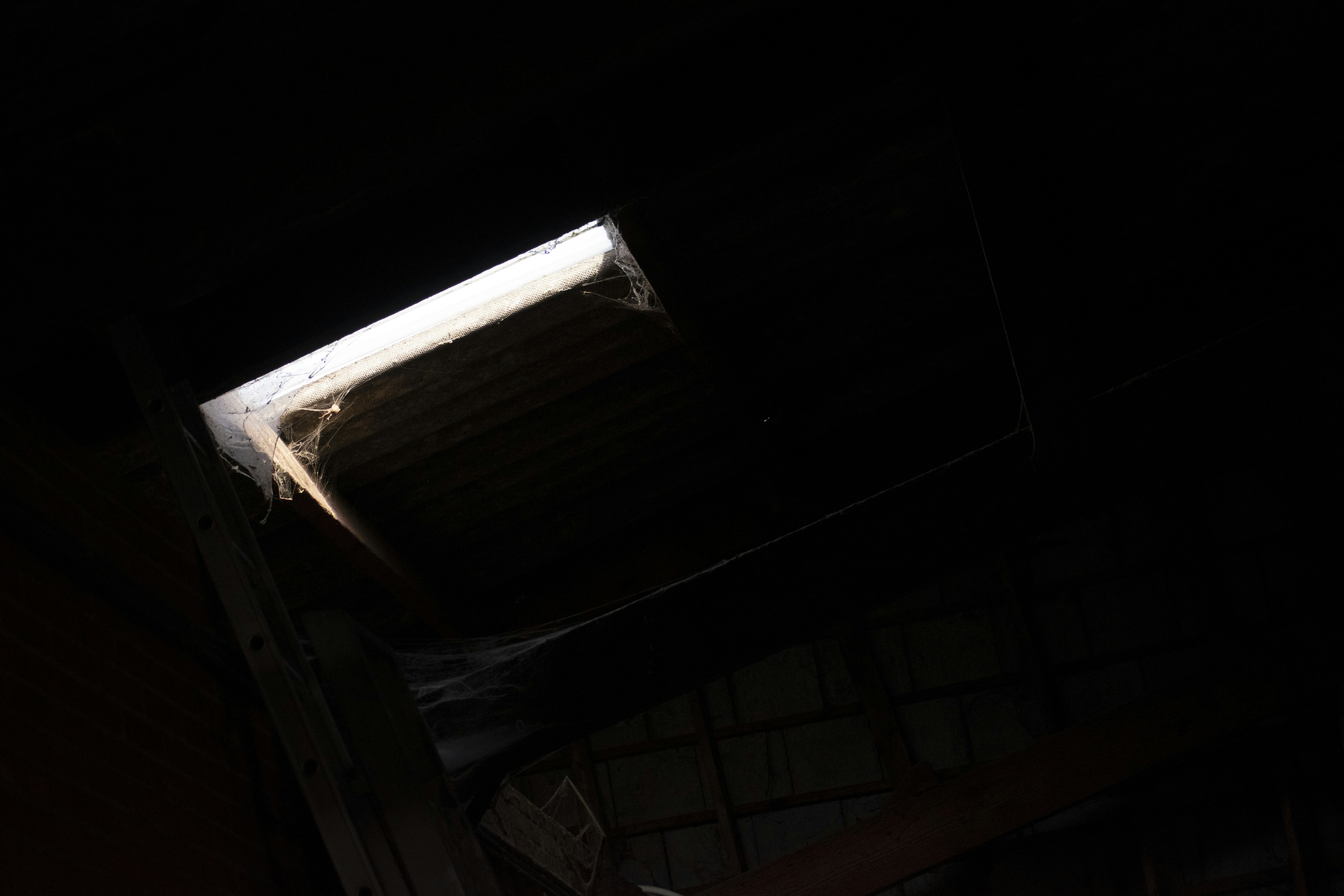 Photo by ricovandevoorde