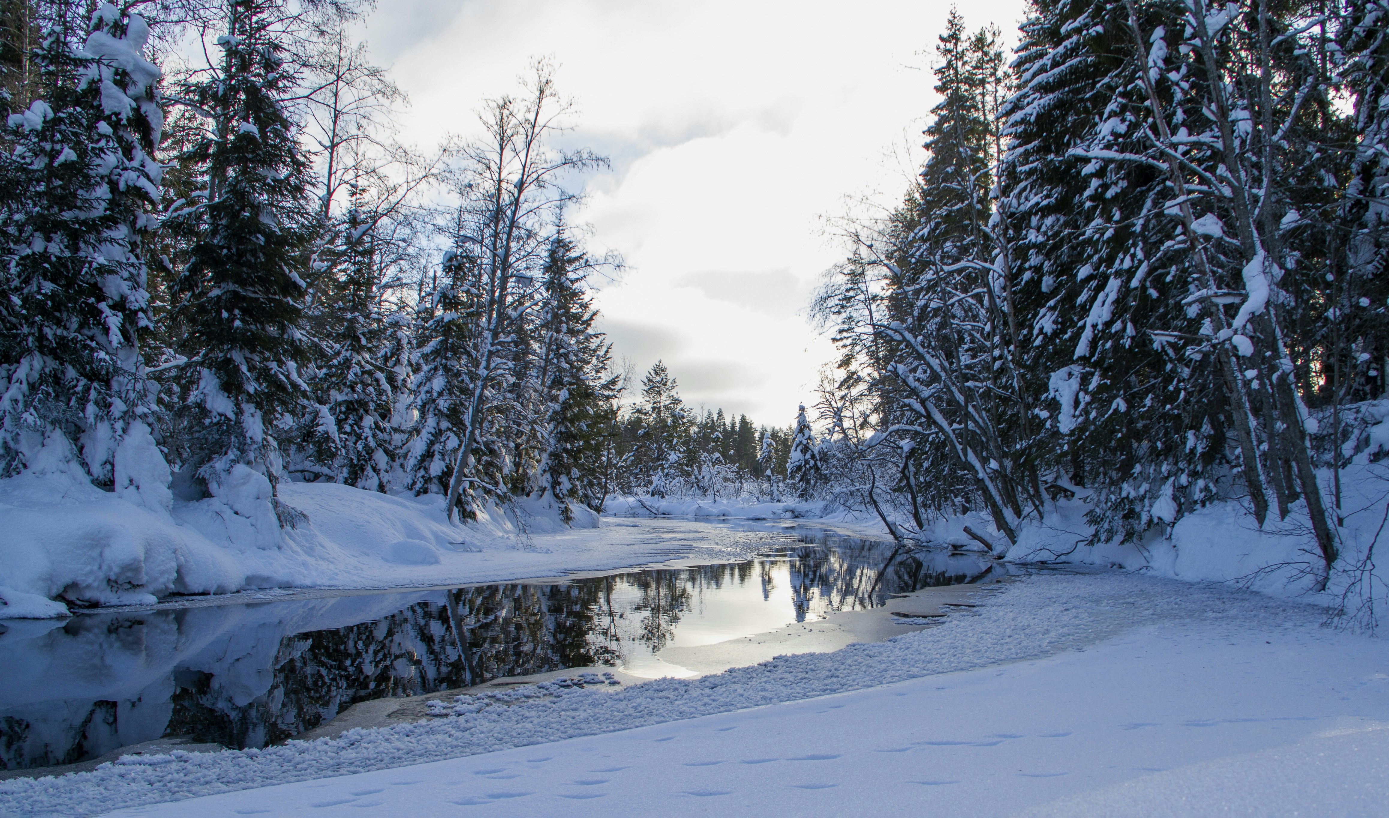 Photo by isak_ingerholt