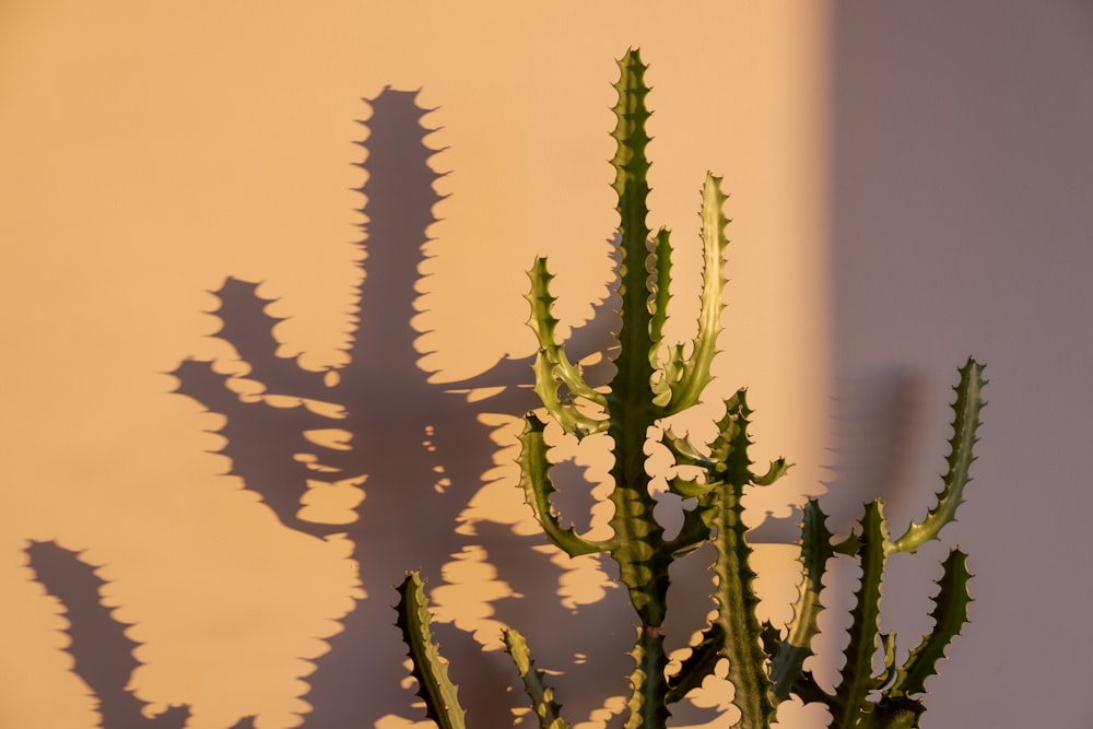 黄色の背景に緑の植物