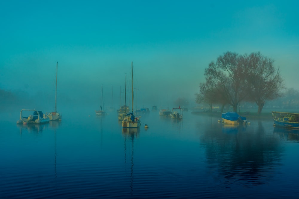 boat on water near trees during daytime