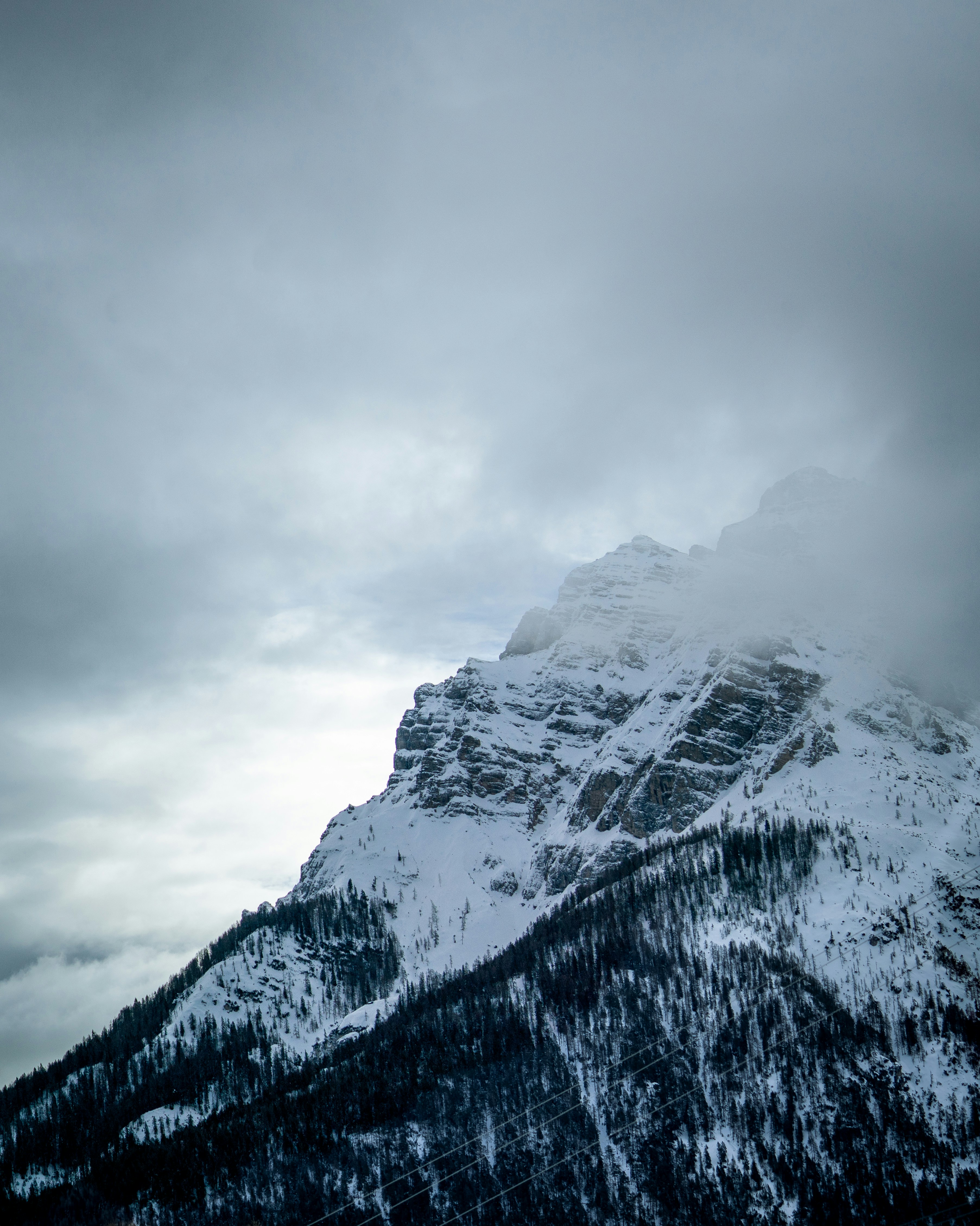 Photo by andreiamza2000