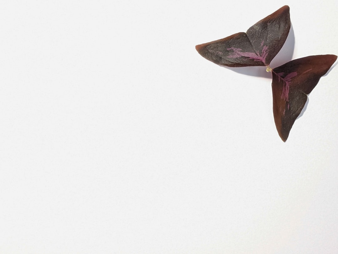 brown and green leaves on white surface