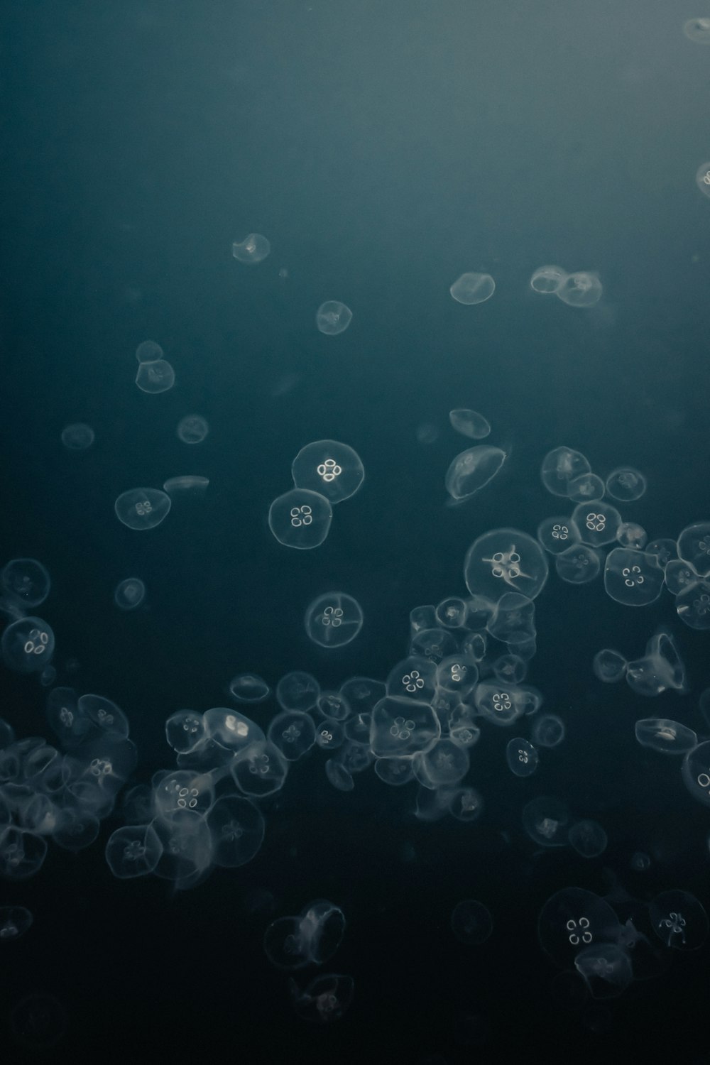 water droplets on glass panel