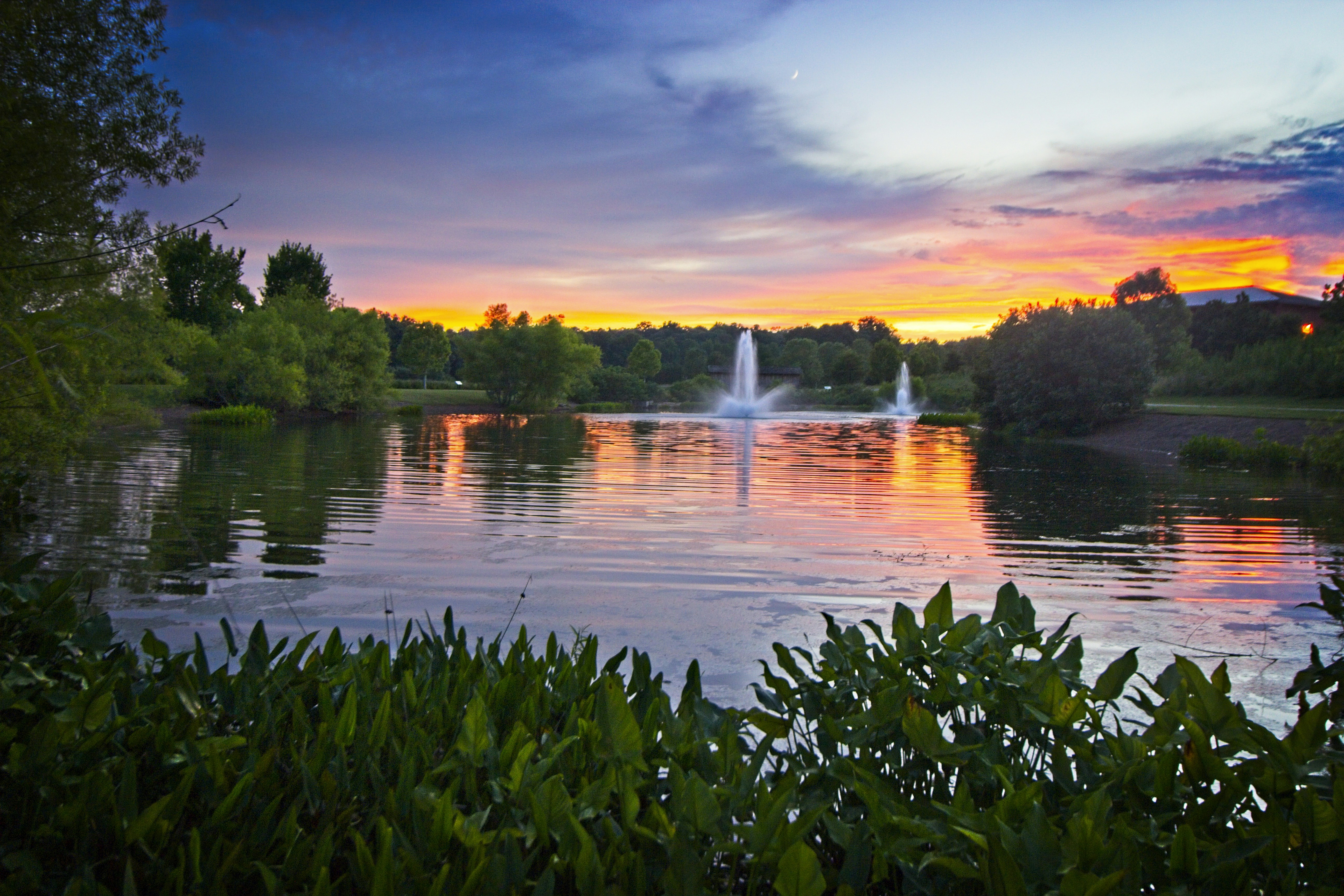 Wasserfontäne inmitten eines grünen Grasfeldes bei Sonnenuntergang