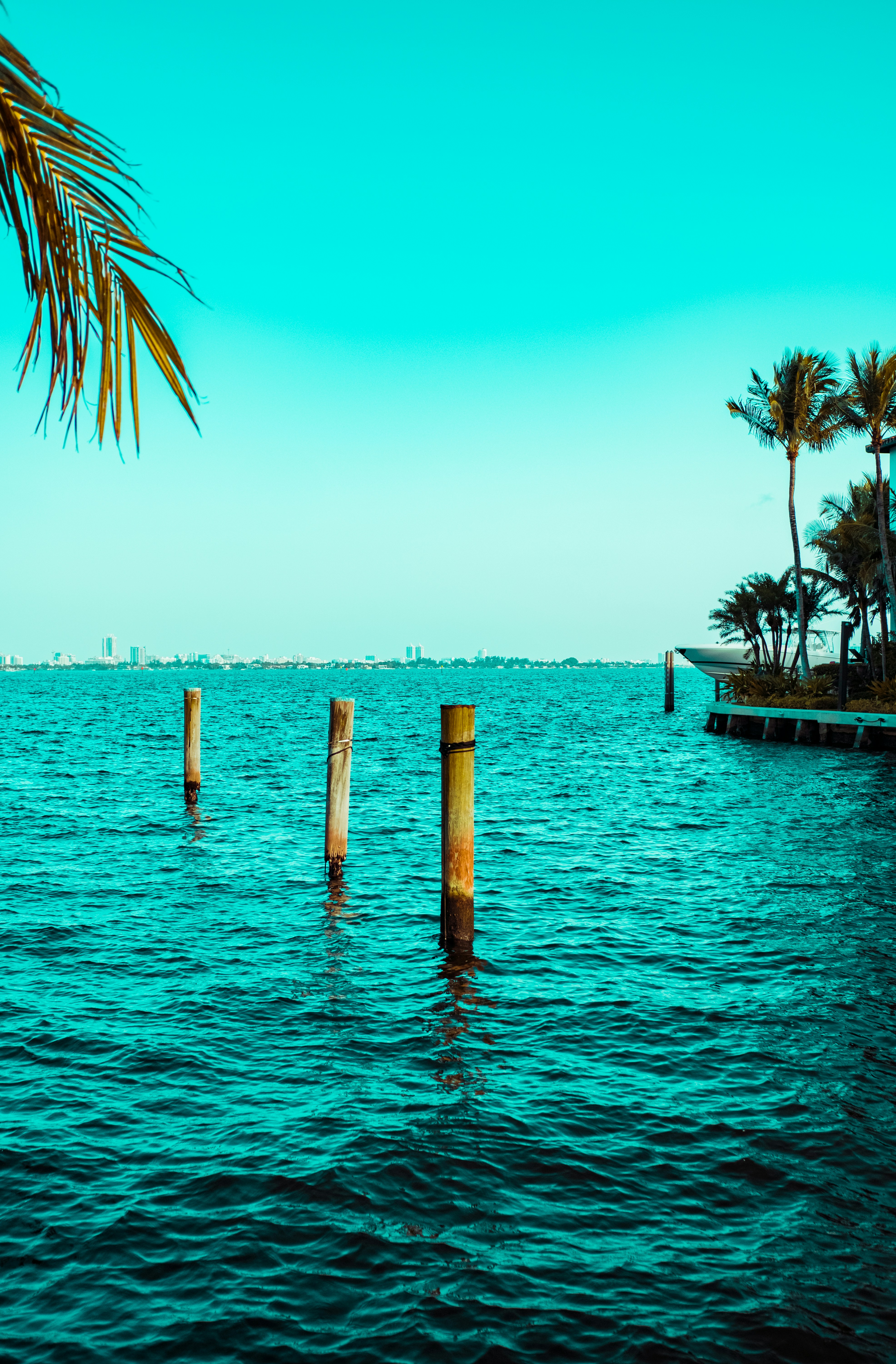 North Miami beach vibes
