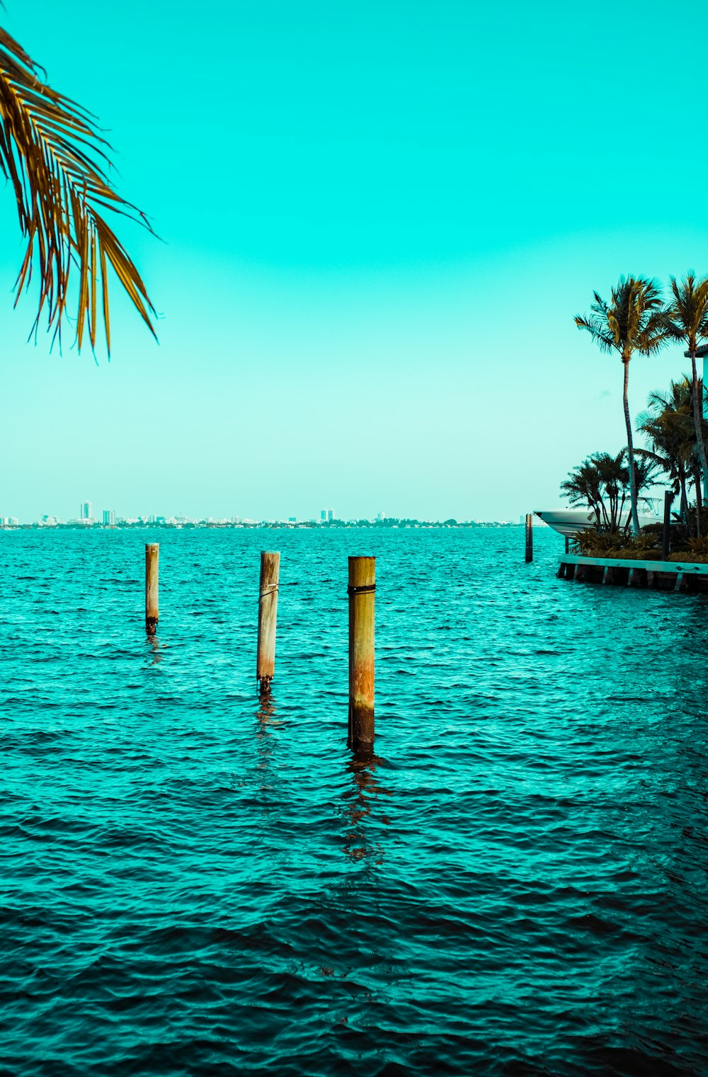 brown wooden dock on sea during daytime