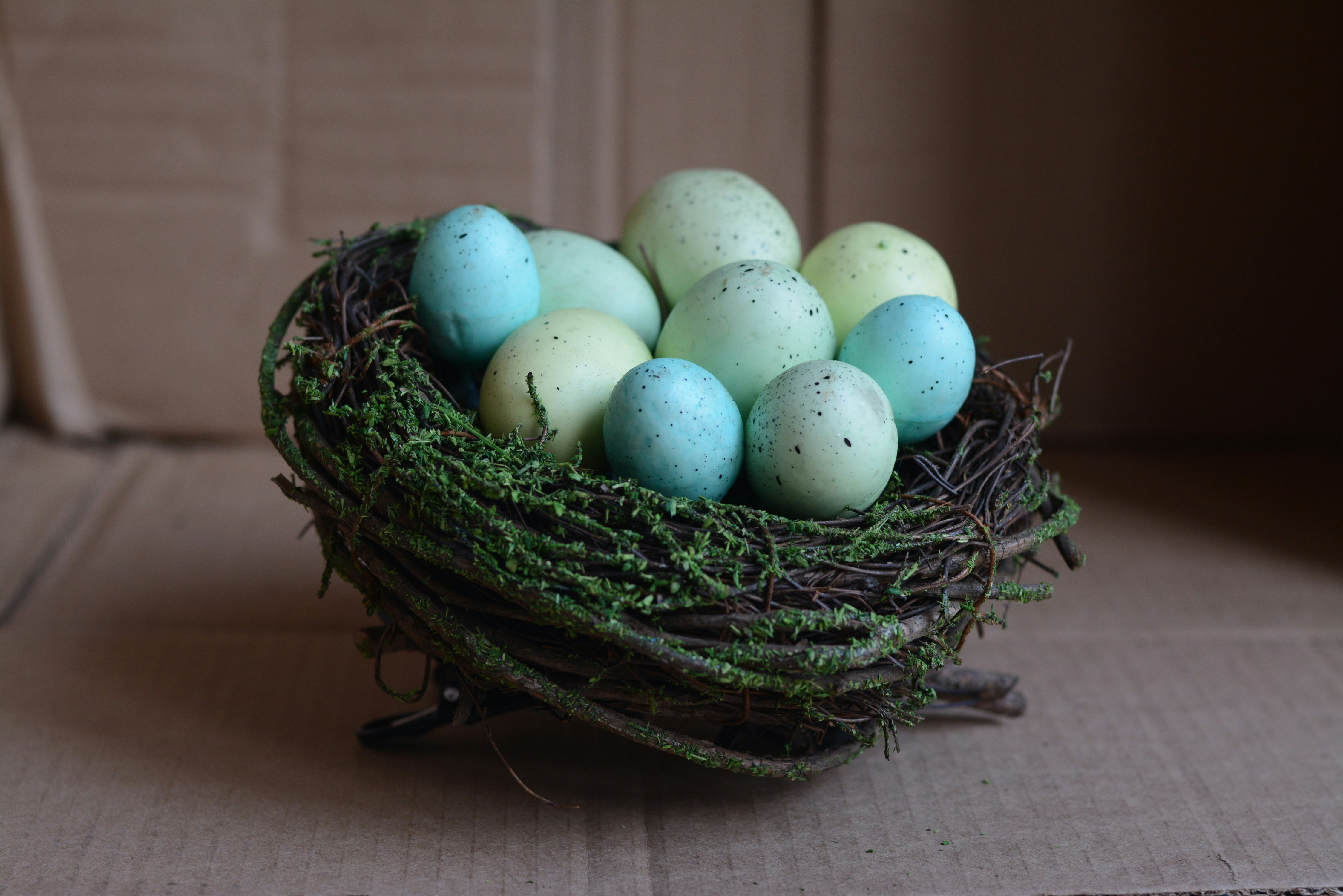 œuf blanc sur nid vert