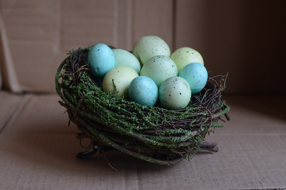 œuf blanc sur nid vert