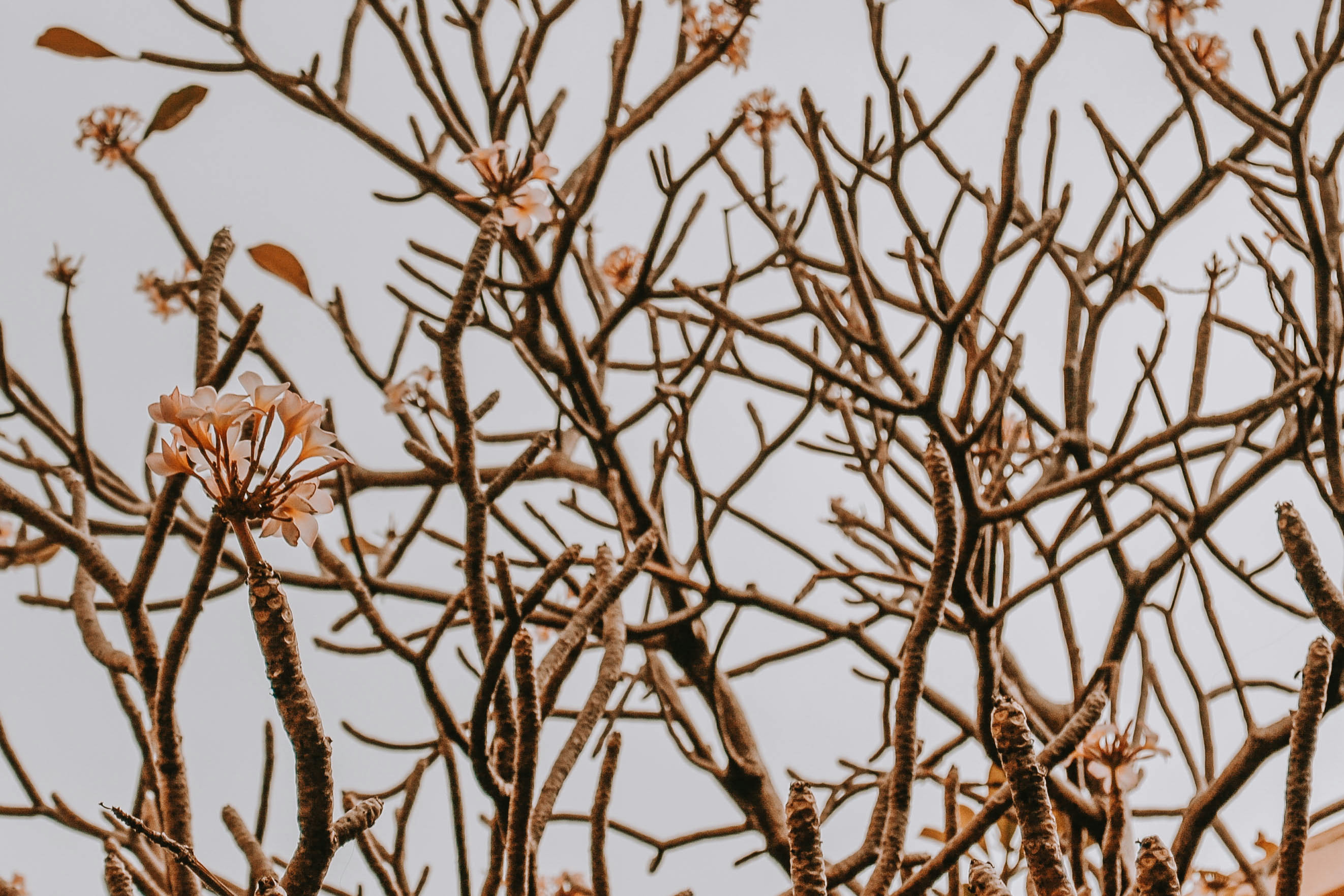 Photo by wanderfleur