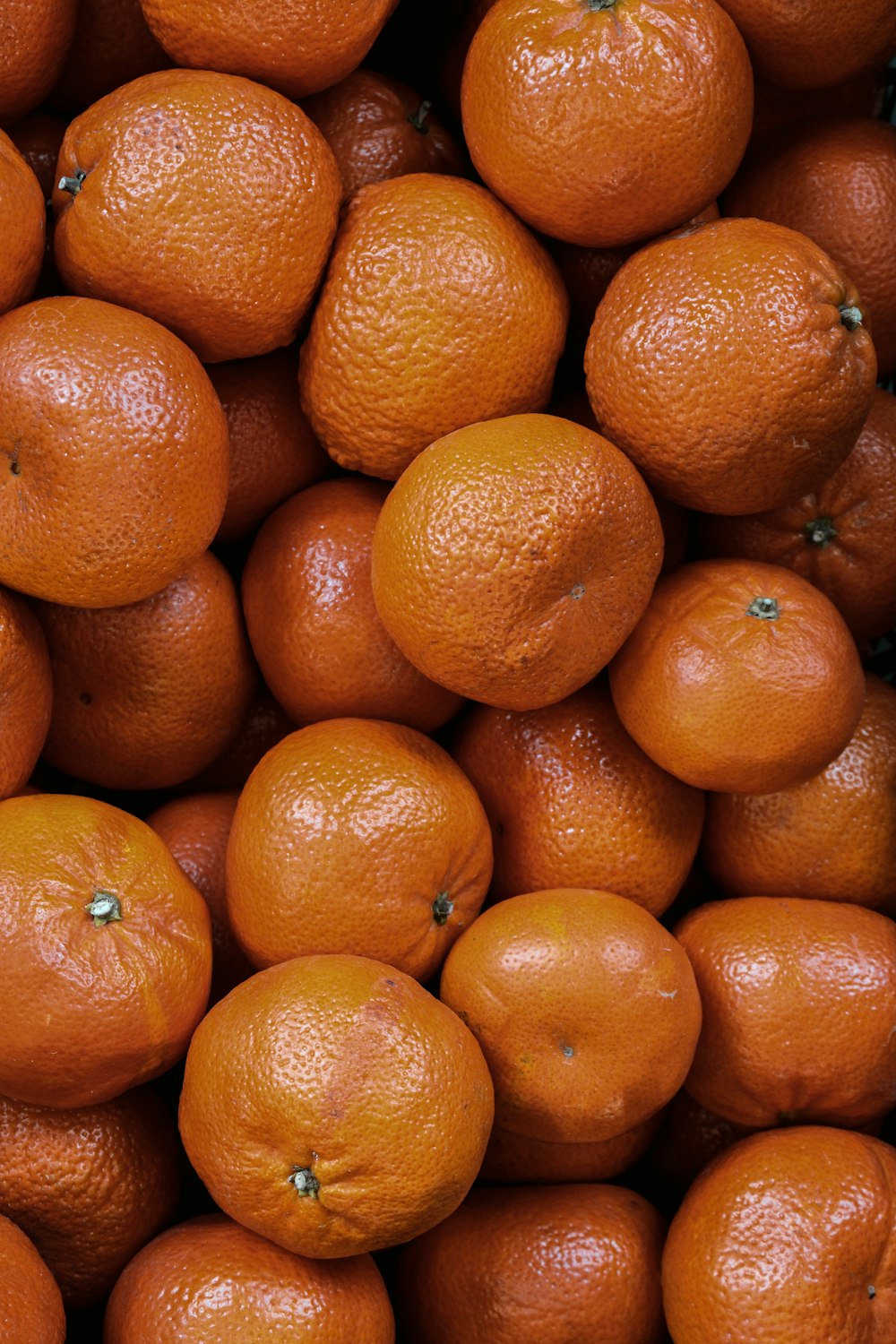 close up photo of orange fruits