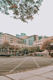 brown and white concrete building near green trees during daytime